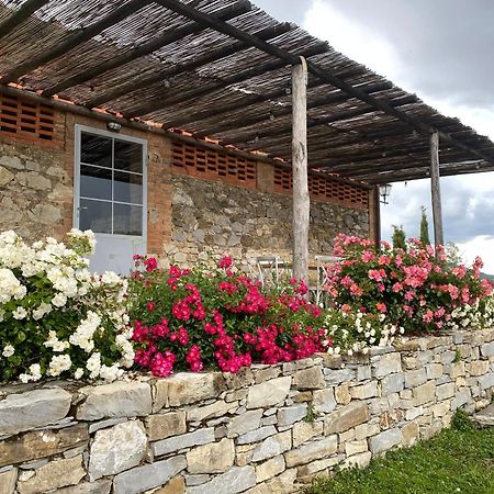 Tregole Apartment Castellina in Chianti Exterior photo