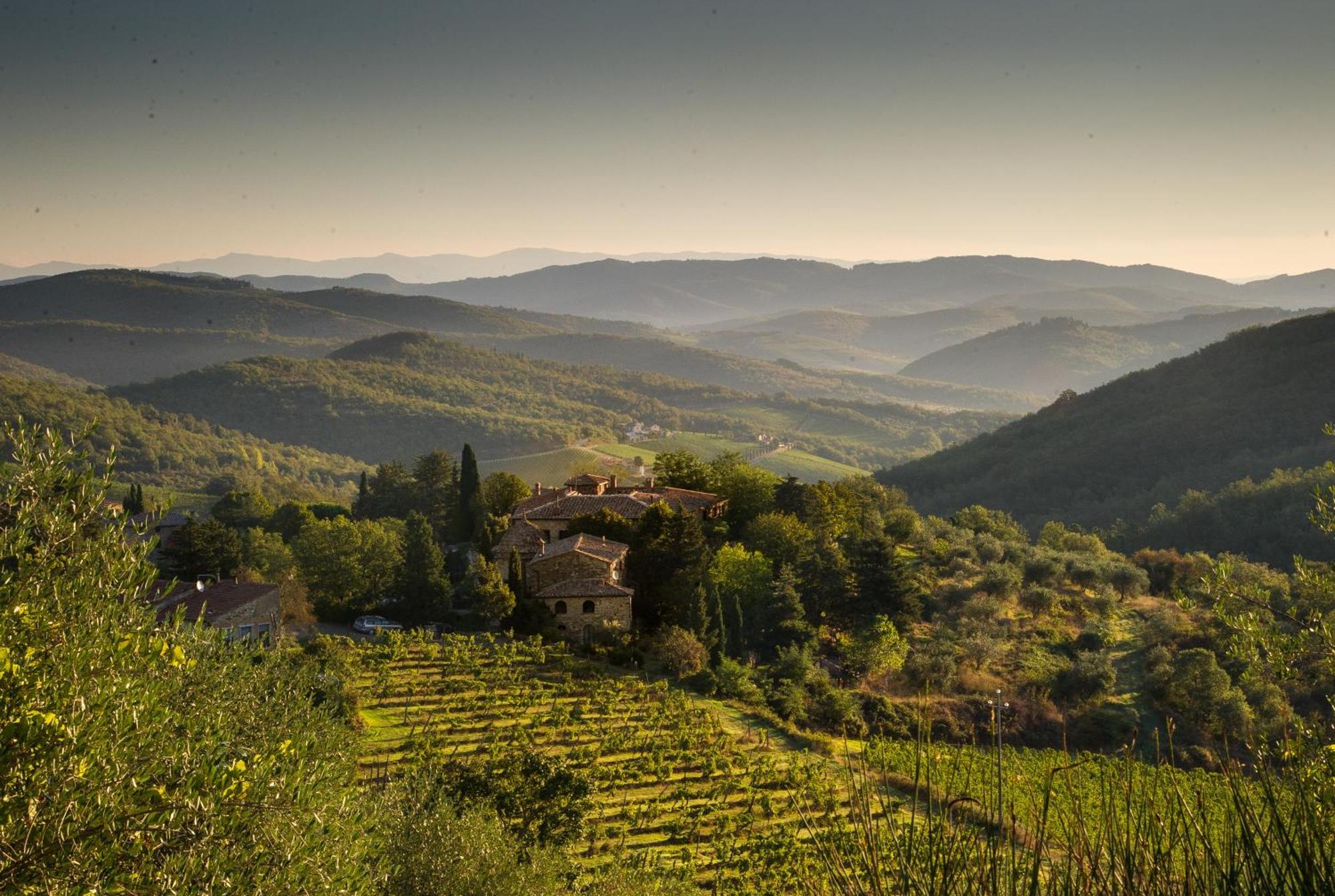 Tregole Apartment Castellina in Chianti Exterior photo